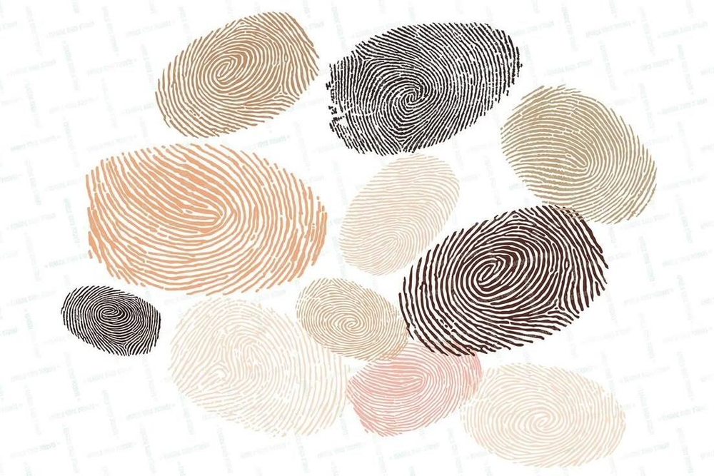 img of O III Ciclo de Debates de Educação em Direitos humanos